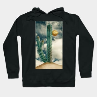 Vintage cactus illustration Hoodie